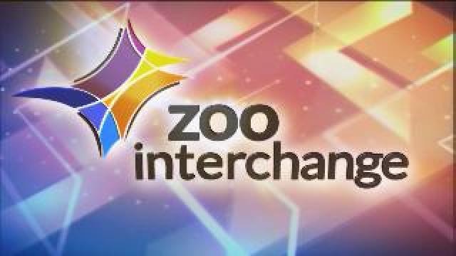 Ryan Luck discusses Zoo Interchange