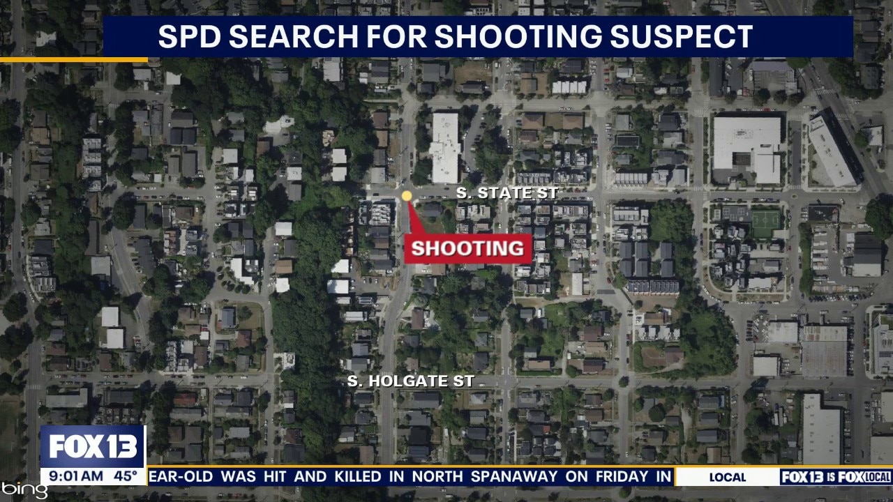 Woman shot in Seattle as police search for suspect