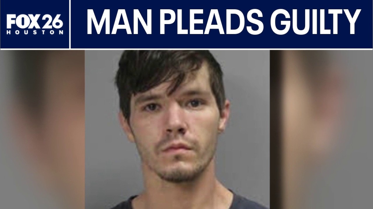 Man pleads guilty in animal cruelty case
