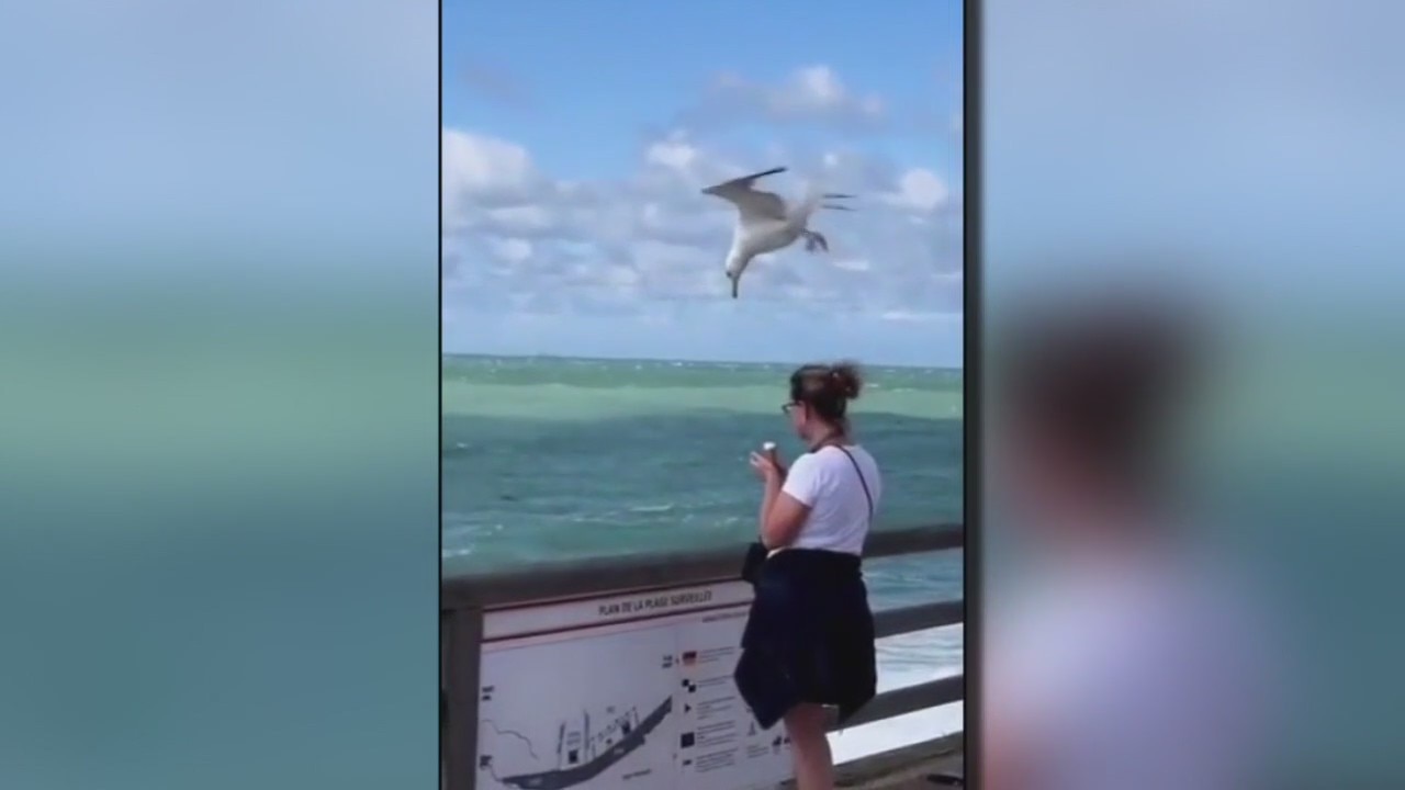 Across America: Woman eating ice cream didn't see this coming