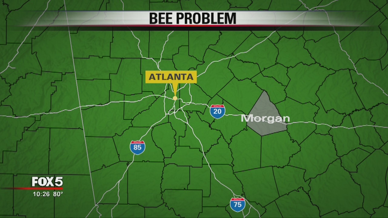 Bees swarming outside Morgan County courthouse