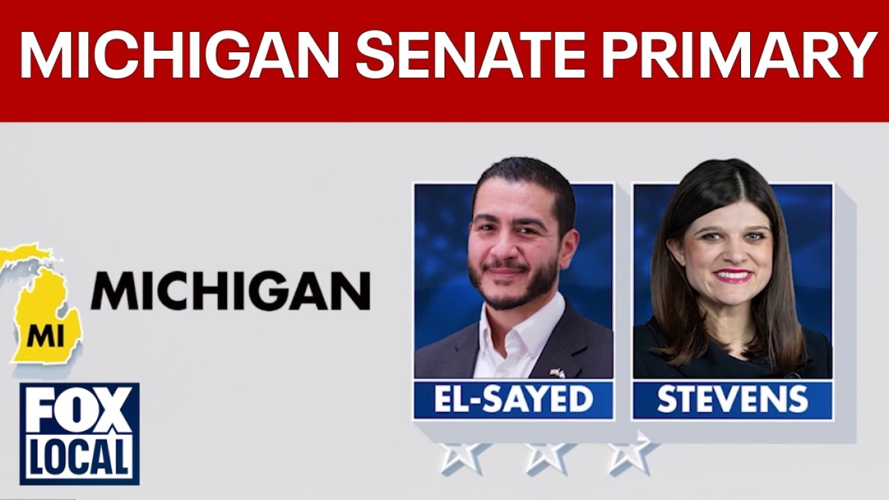 Political world watching Michigan Democratic Senate primary