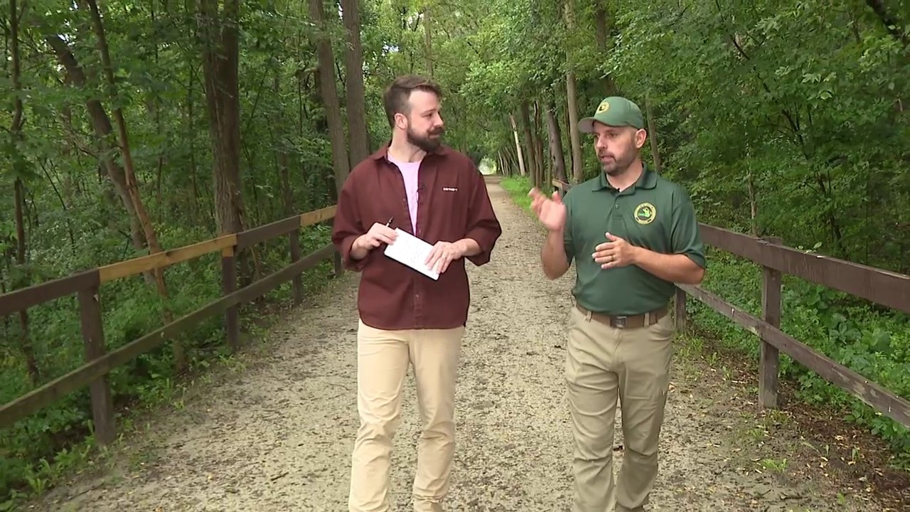 Michigan trails to hike for fall colors