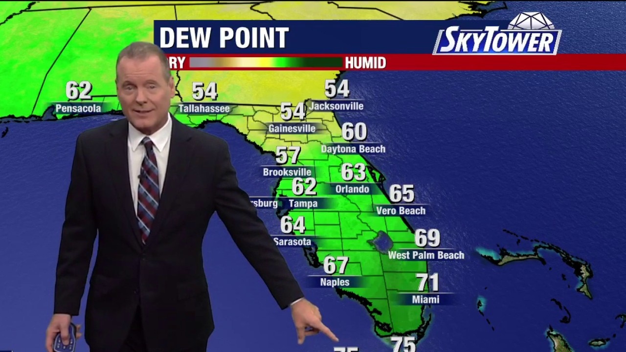Tampa weather / Saturday morning forecast