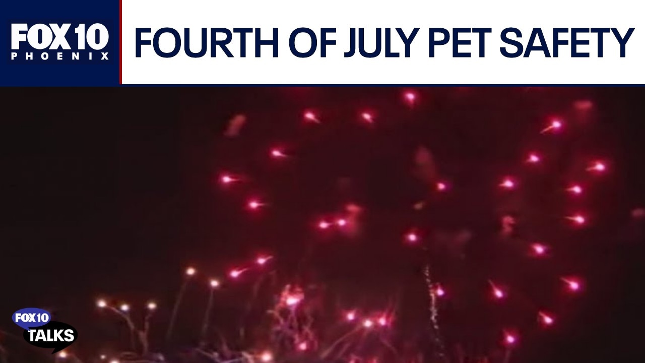 How to keep pets safe from fireworks this Fourth of July | FOX 10 Talks