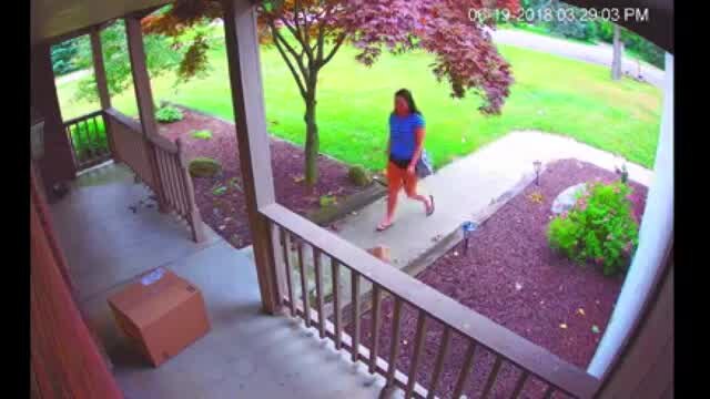Video shows young woman stealing package in Chesterfield Twp