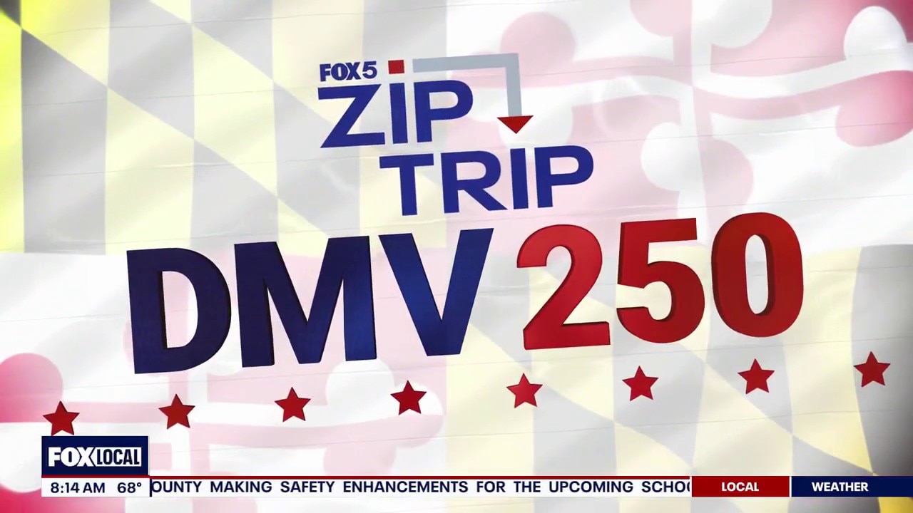 Zip Trip to The Wharf: Non-profits