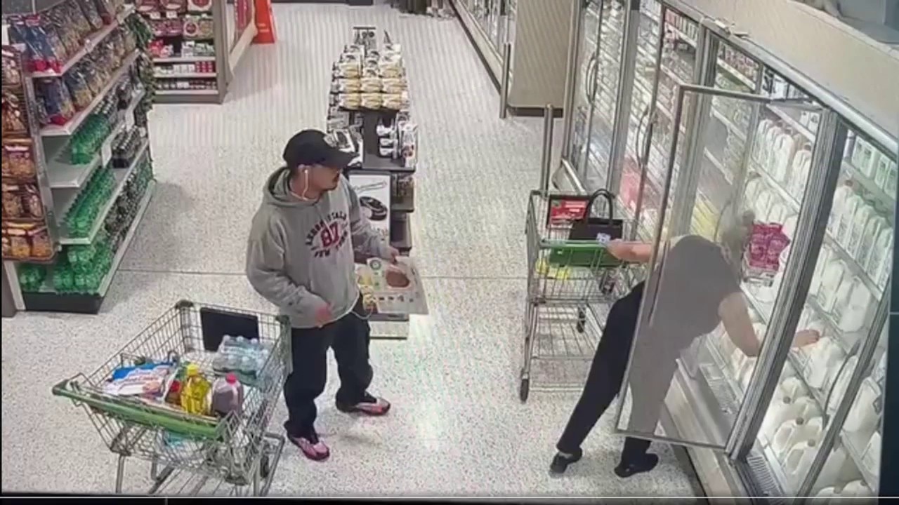 Loganville Publix purse theft caught on video