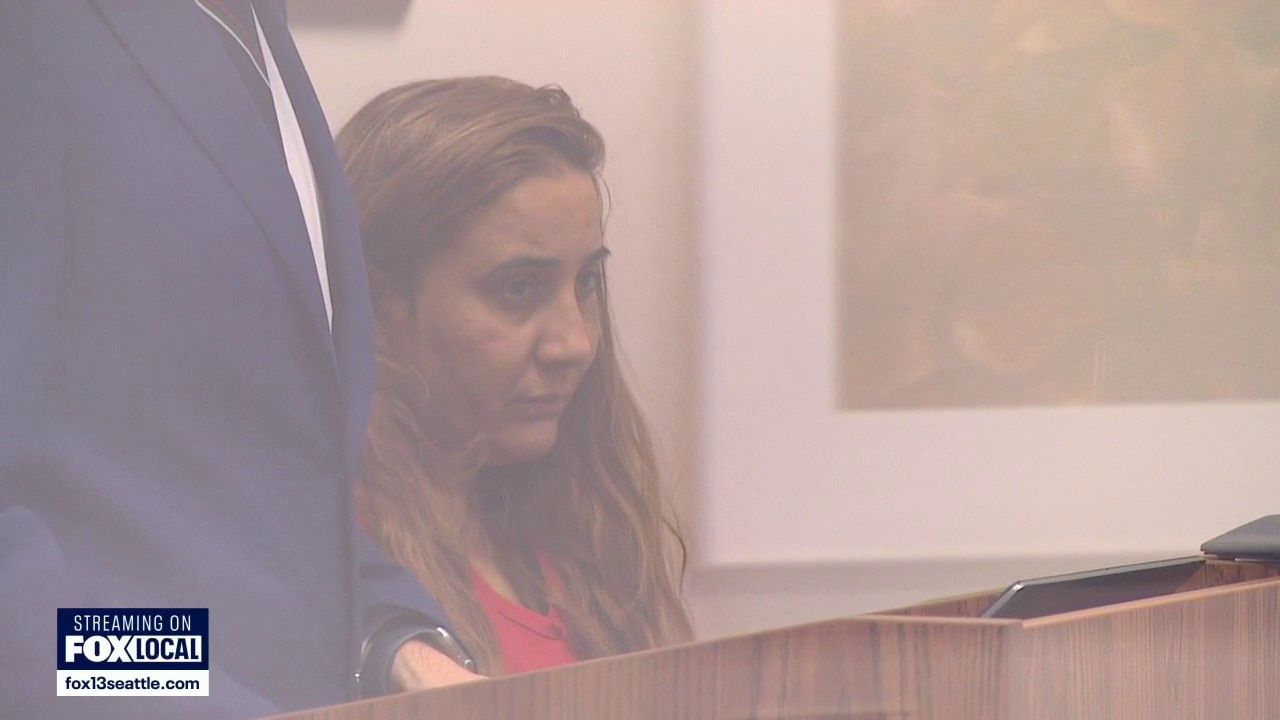 Accused Romani theft ring member pleads not guilty in court