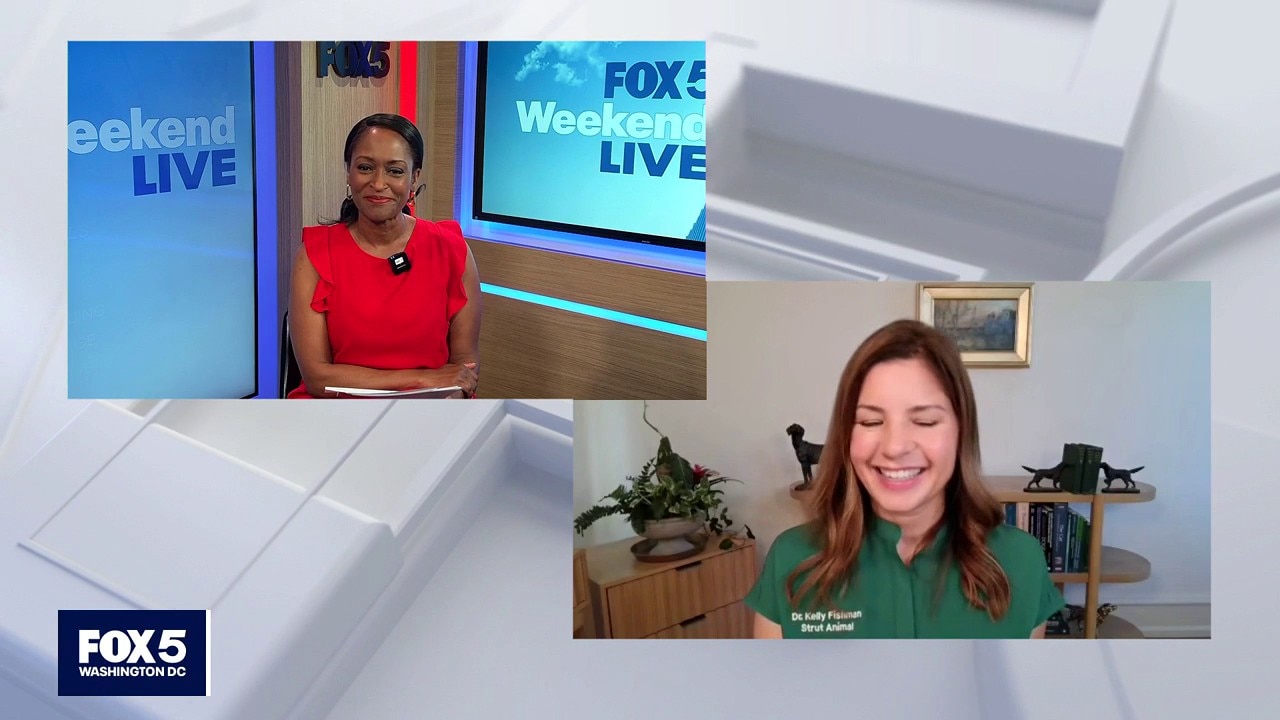 Tracking pet wellness trends
