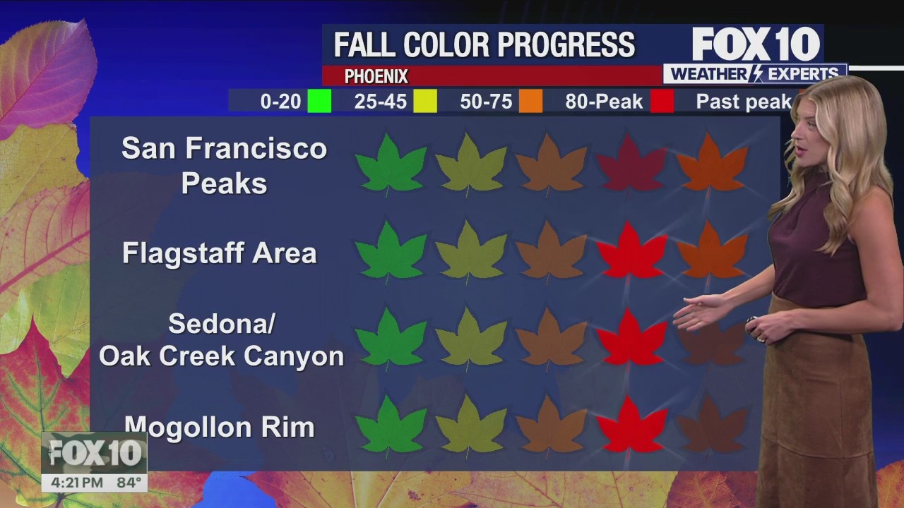 Evening Weather Forecast - 11/6/25