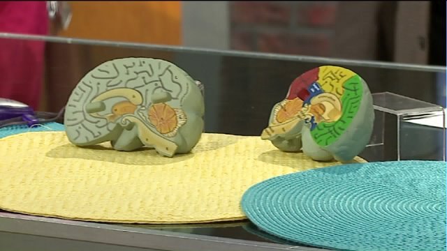 Boost your brain power: Here are some fun activities to keep your mind sharp