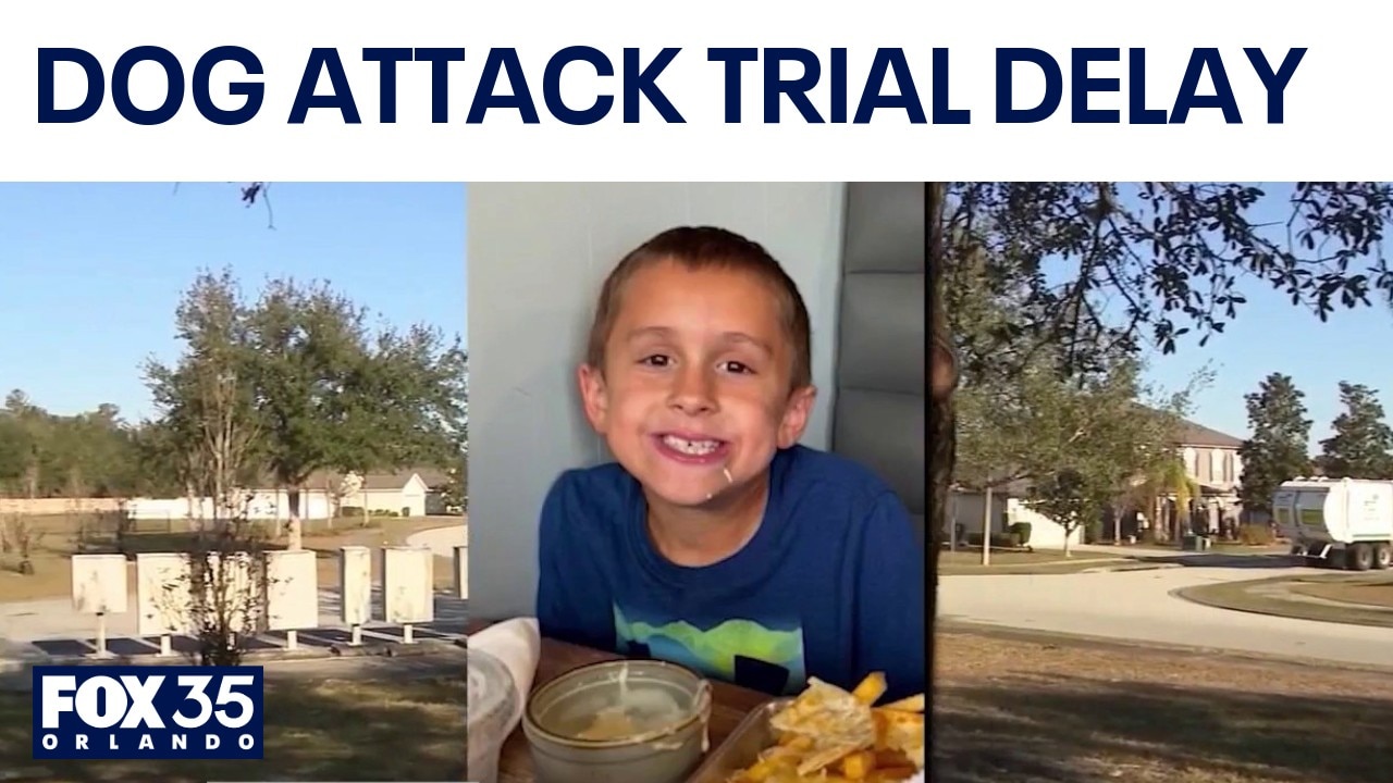 Trial delayed in case tied to deadly DeLand dog attack