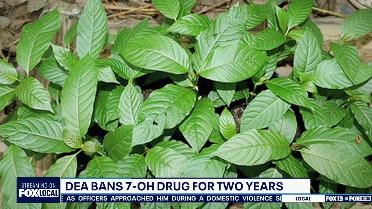 DEA bans 7-OH drugs for two years