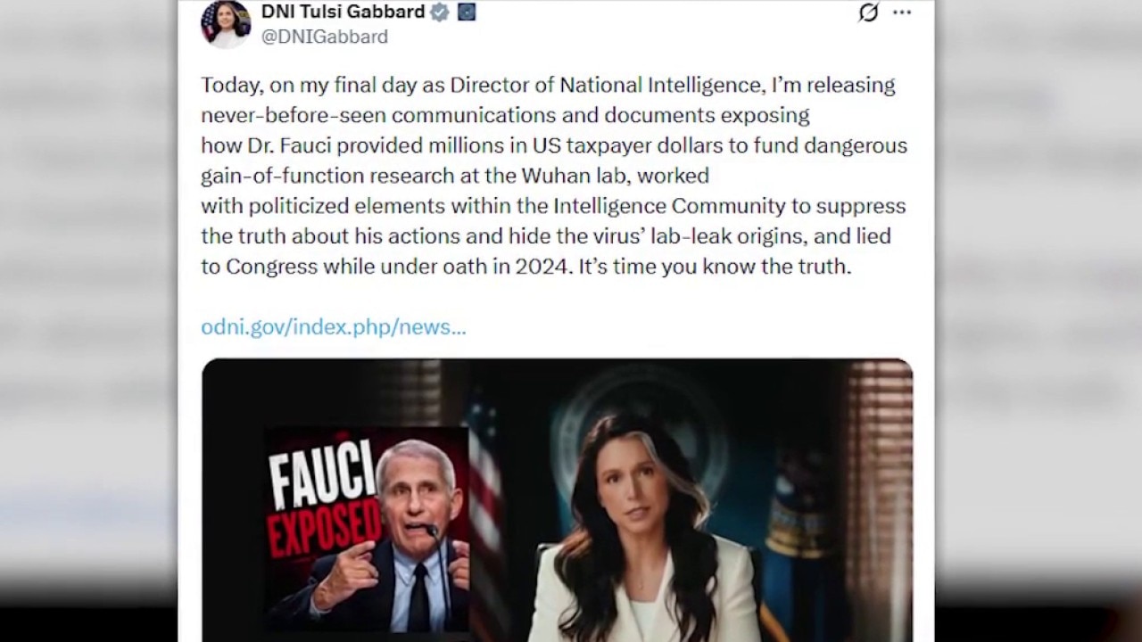 Tulsi Gabbard accuses Fauci of Wuhan lab COVID cover-up