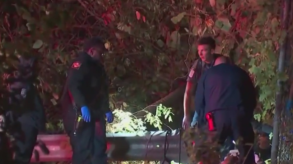 Man pushed into ravine