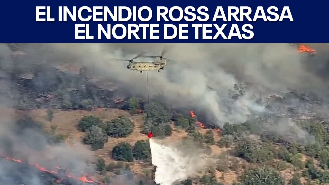 FOX 7 Español - 8/26/2026 Titulares
