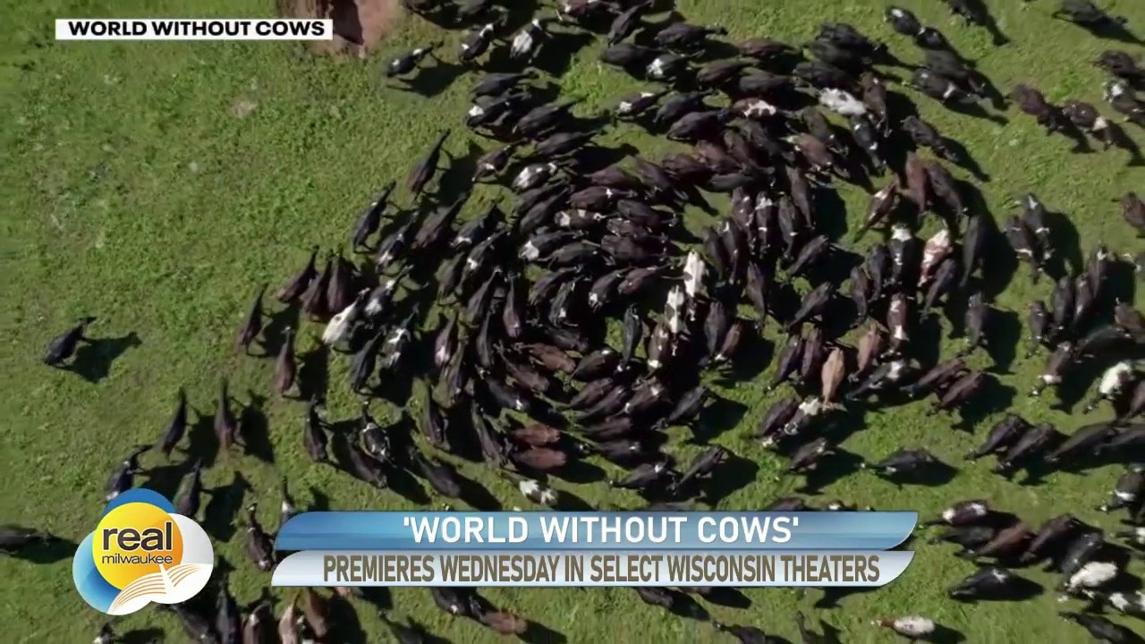 'World Without Cows'; Gino at the Movies