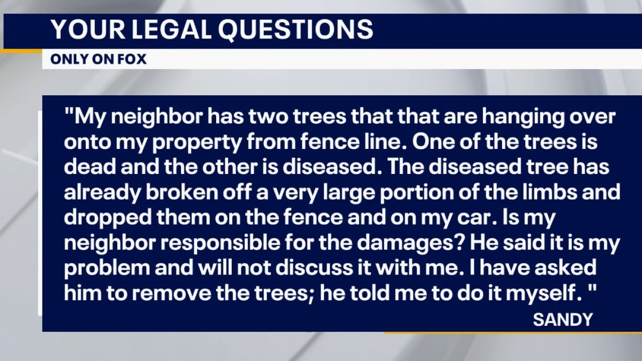 Your Legal Questions: August 13, 2026