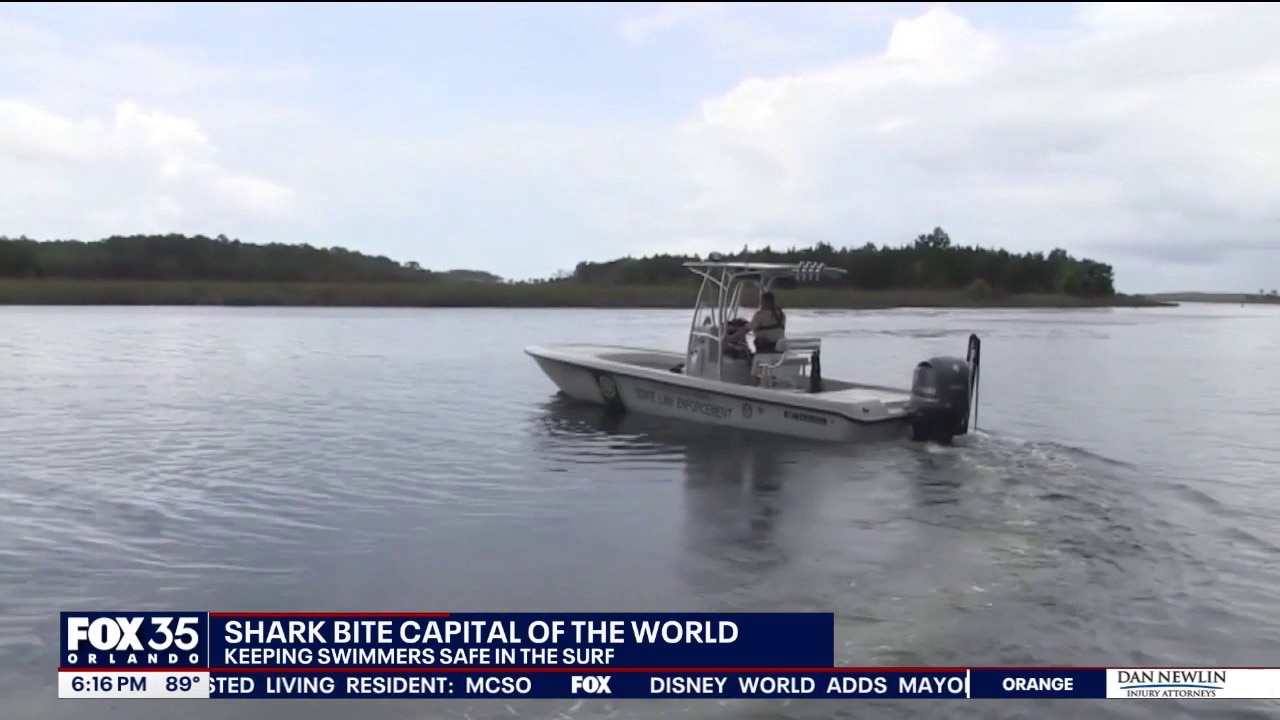 New Smyrna Beach embraces shark reputation while officials stress safety