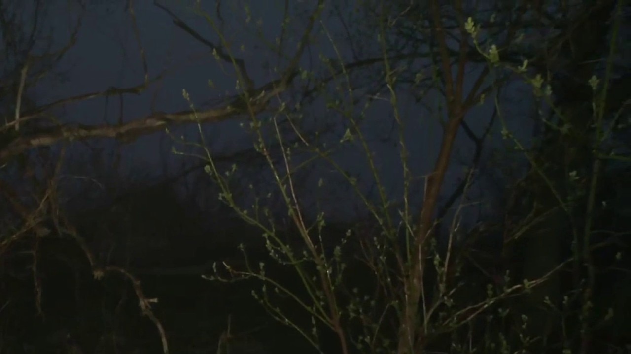 Large emergency response at Warnimont Park; man rescued from cliff