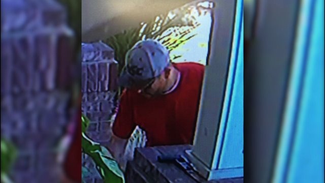 Pierce County Package Thief