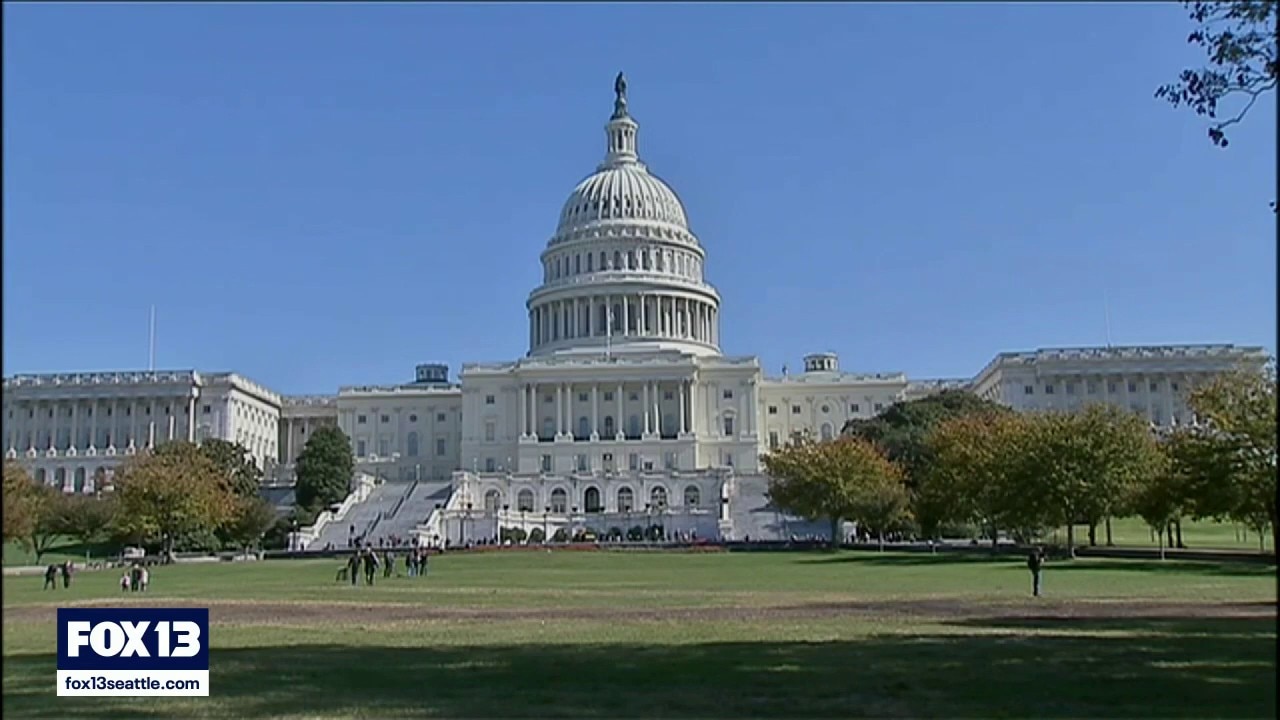 Questions over ‘anti-weaponization fund’