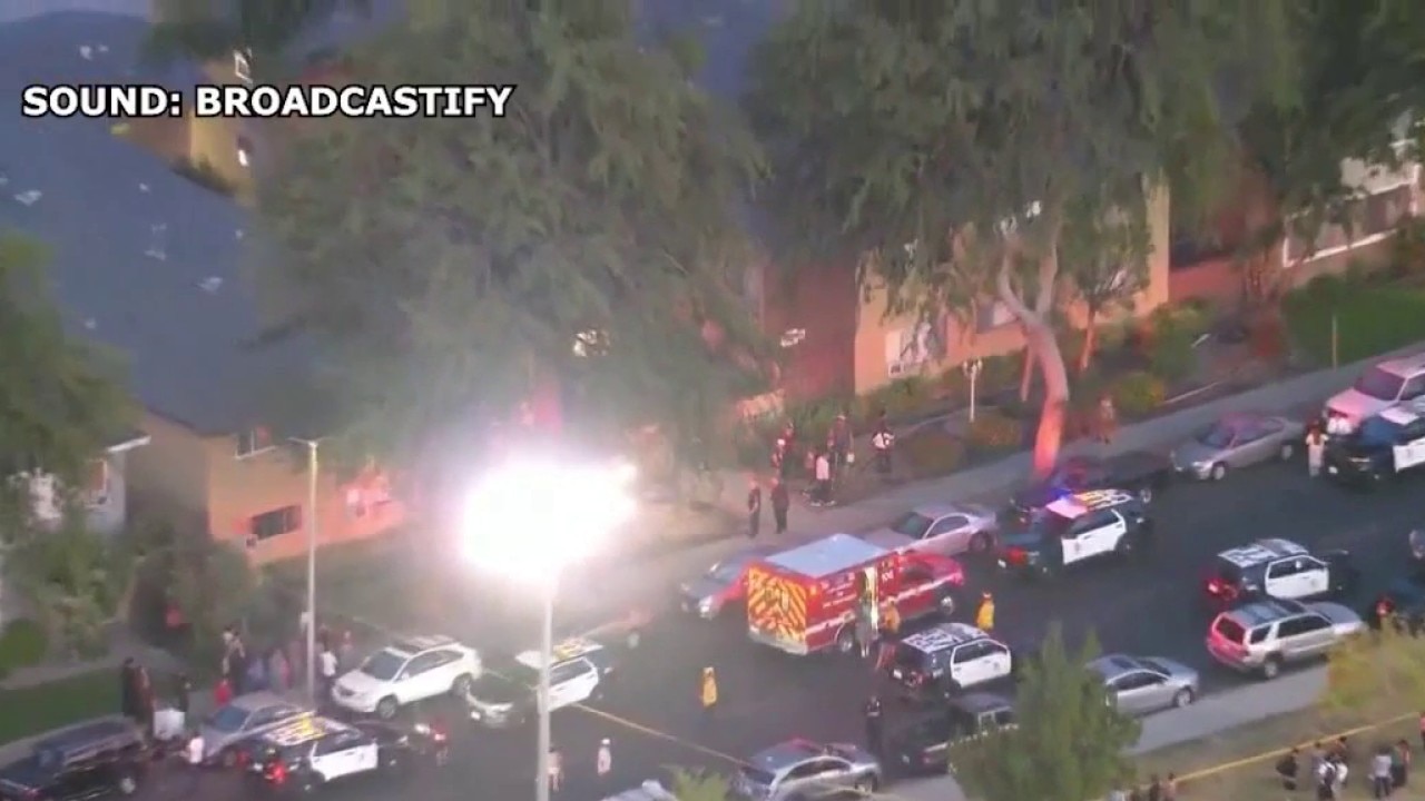 Twin boys shot dead in suspected murder-suicide