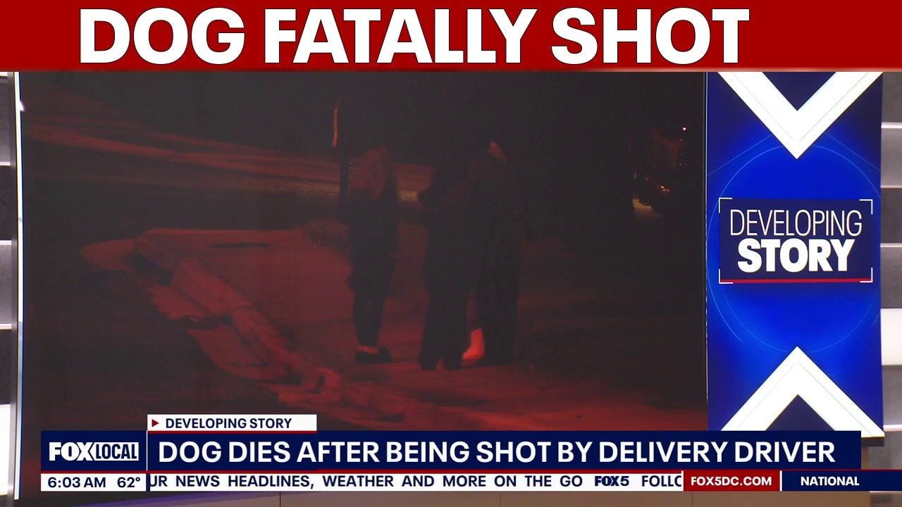 Dog fatally shot by delivery driver in Prince George’s County | FOX 5 AT 6AM