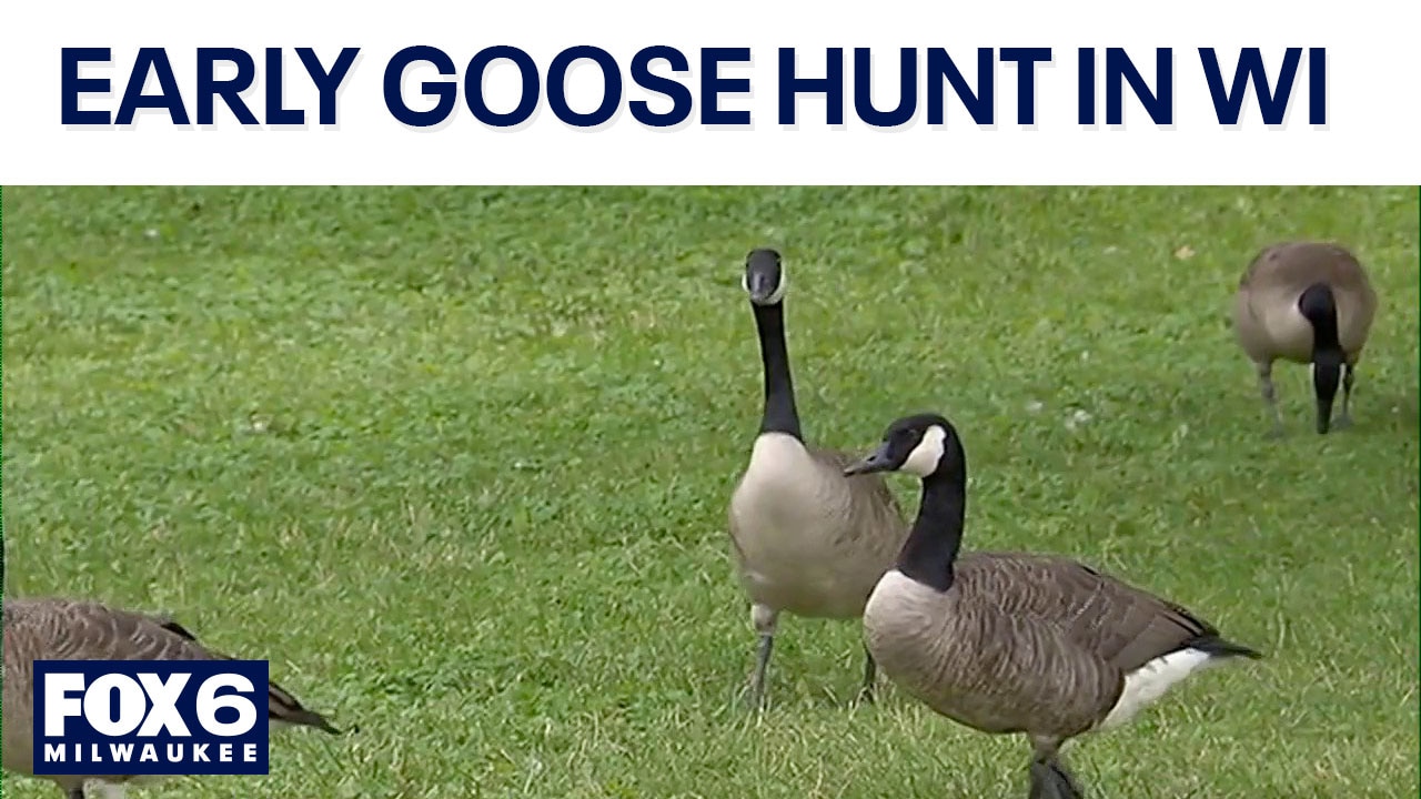 Wisconsin early goose hunt; what you need to know