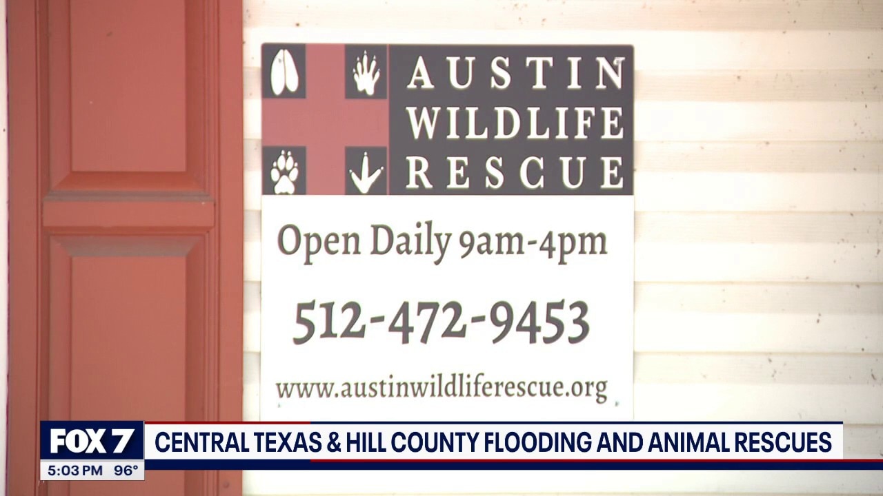 Central Texas flooding leaves many animals displaced