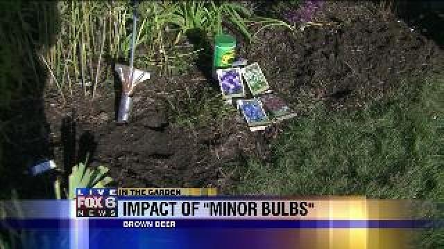 Impact of minor bulbs
