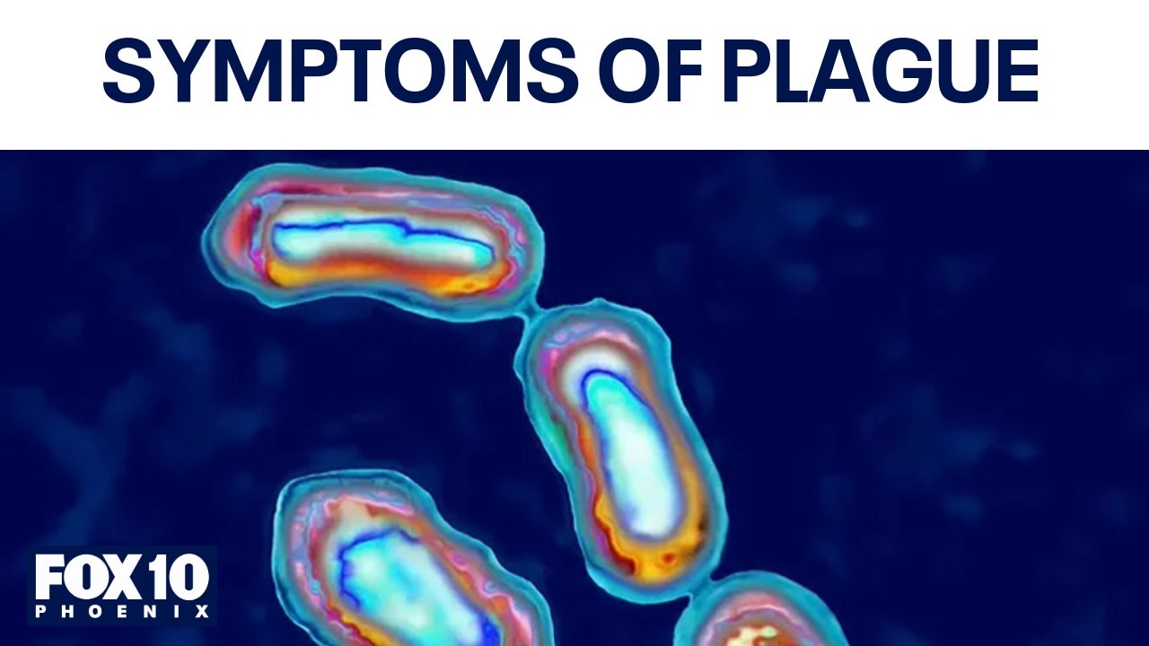 Rare plague case confirmed in AZ: How to recognize symptoms