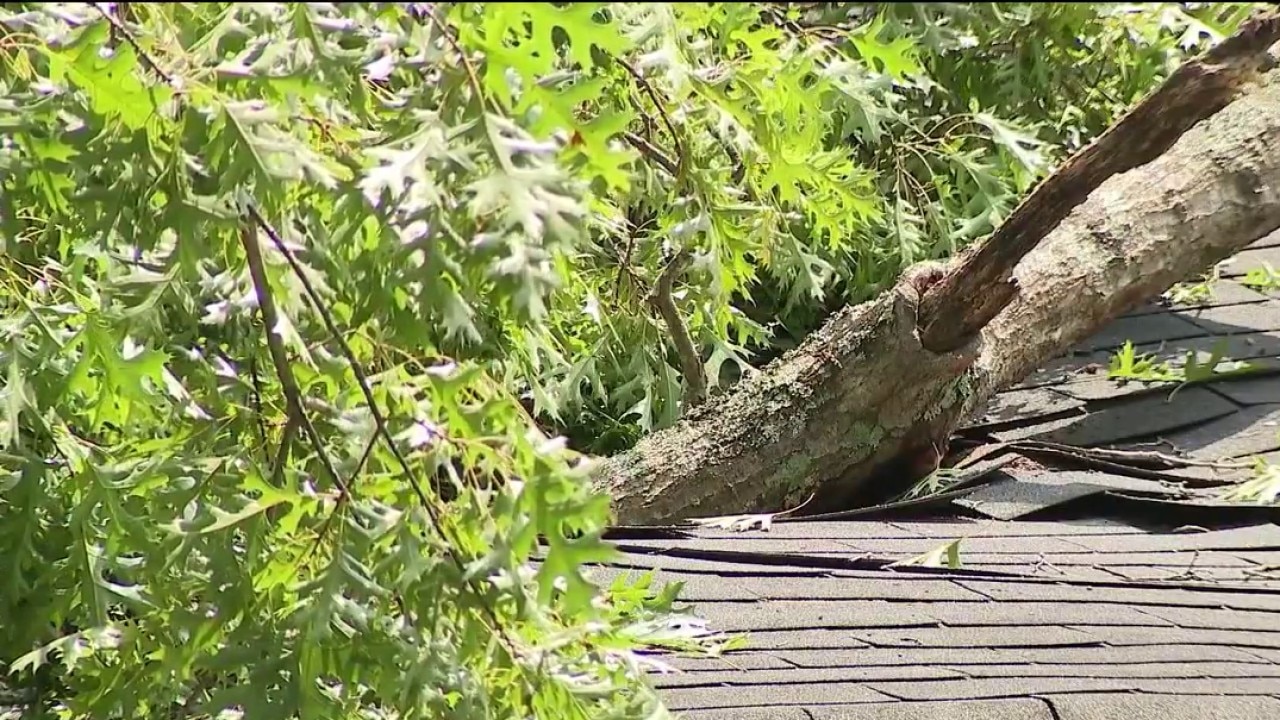 Stone Mountain tree crushes garage on All Good Way