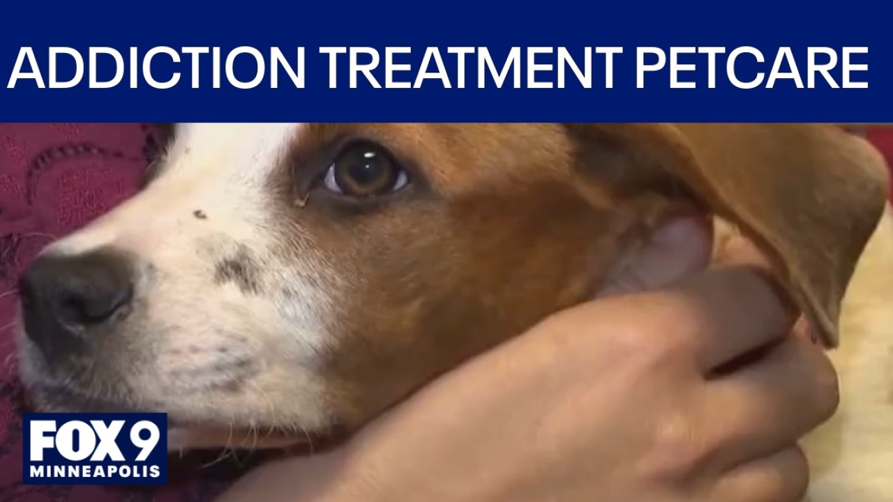 Partnership provides pet care for people in addiction treatment