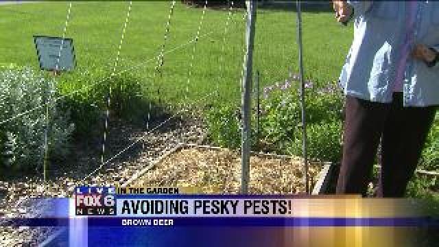 Avoiding pesky pests