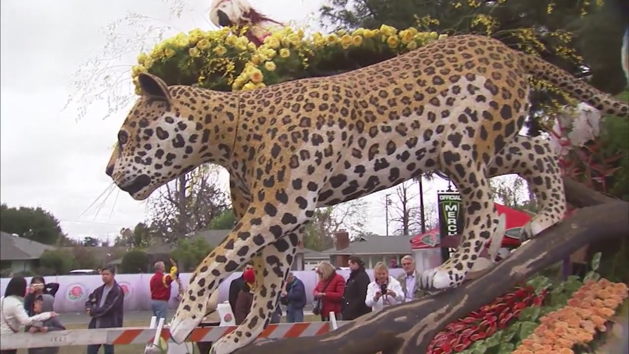 Post Rose Parade Observation
