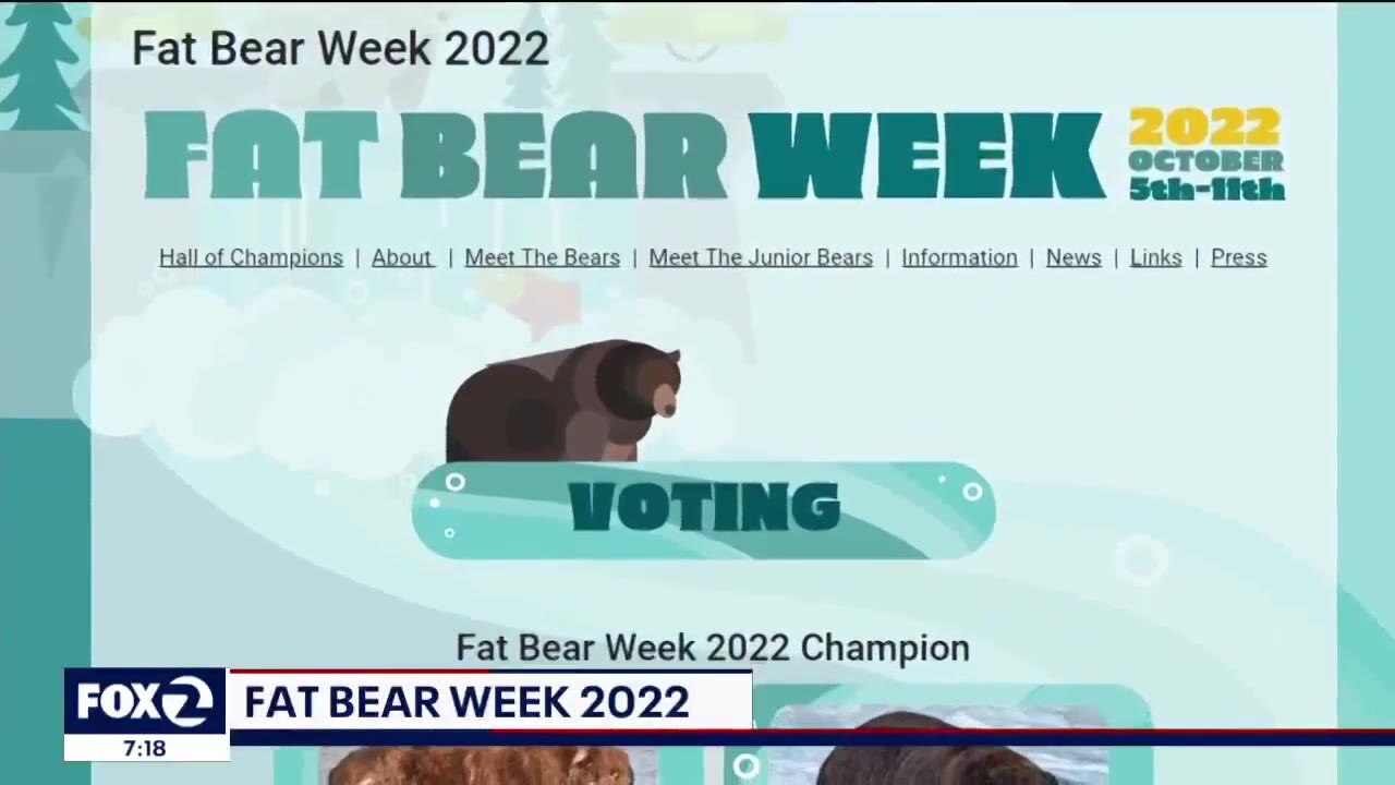 Fat Bear Week 2022