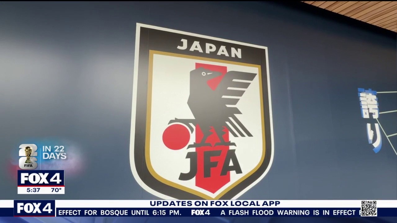 FIFA World Cup: Steven Dial's in-depth look at Japan