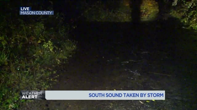 Storm in the South Sound (Mason County)