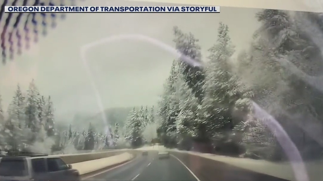 Falling tree narrowly missed truck