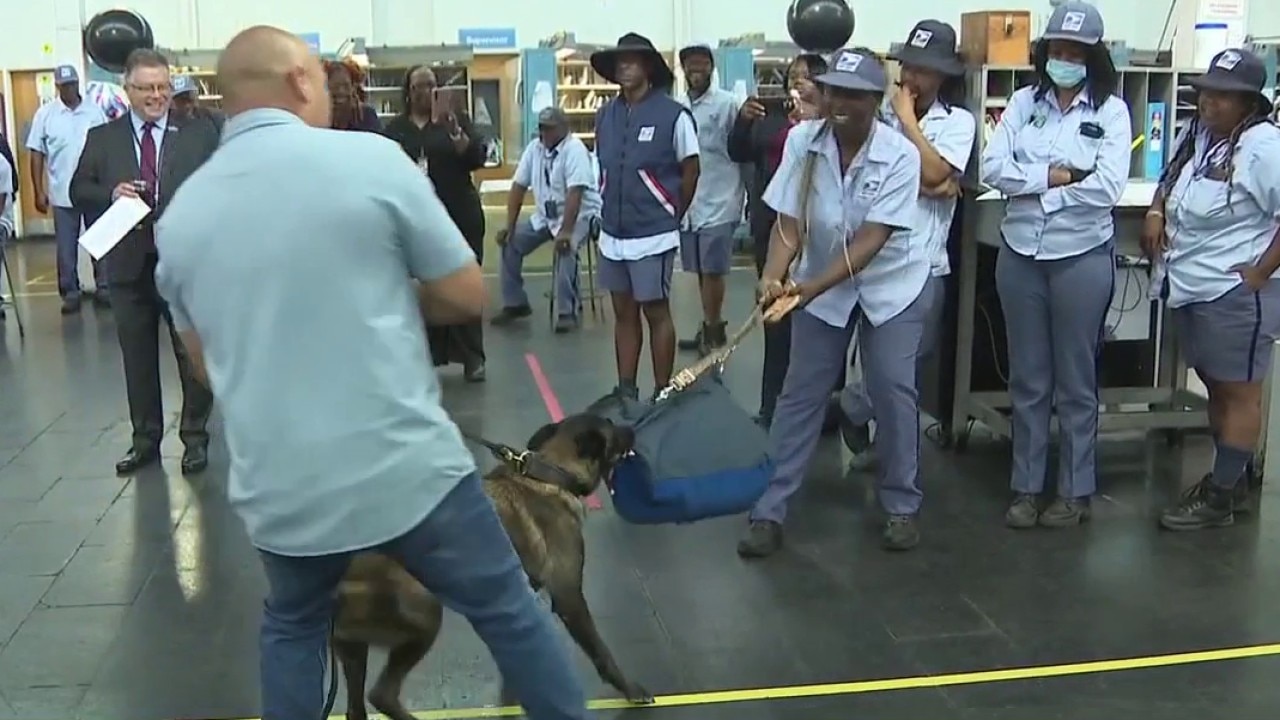 Metro Detroit letter carriers training to prevent dog bites