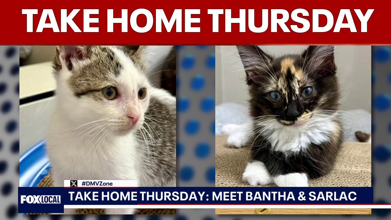 Take Home Thursday: Meet Bantha and Sarlac from Prince George’s County