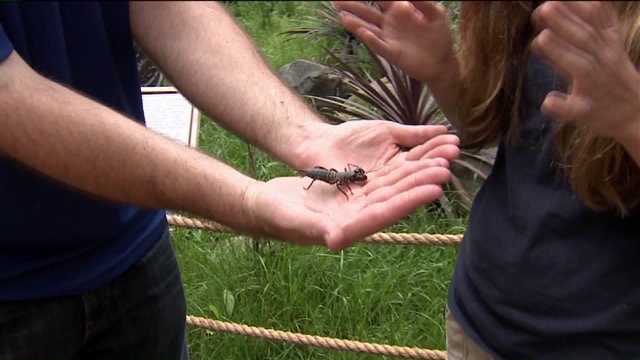 Kramp learns about scorpions at the Milwaukee County Zoo
