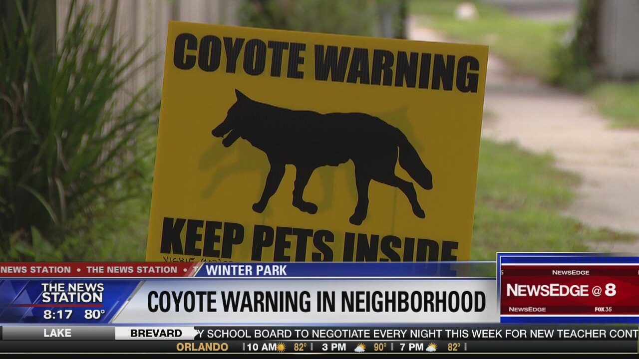 Pet owners warned of coyotes in Winter Park