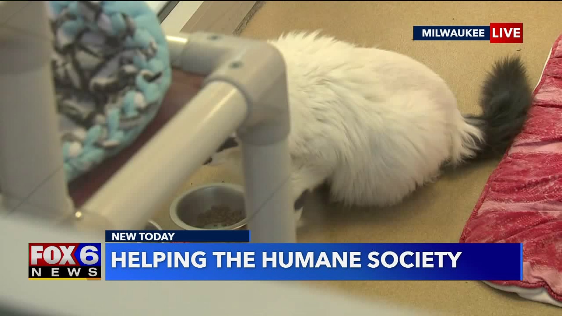 Ways you can help