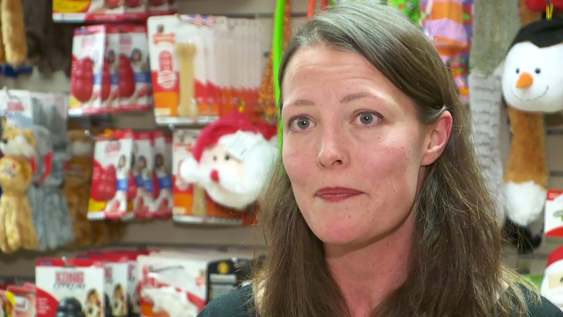 Wisconsin Humane Society cares for injured puppy