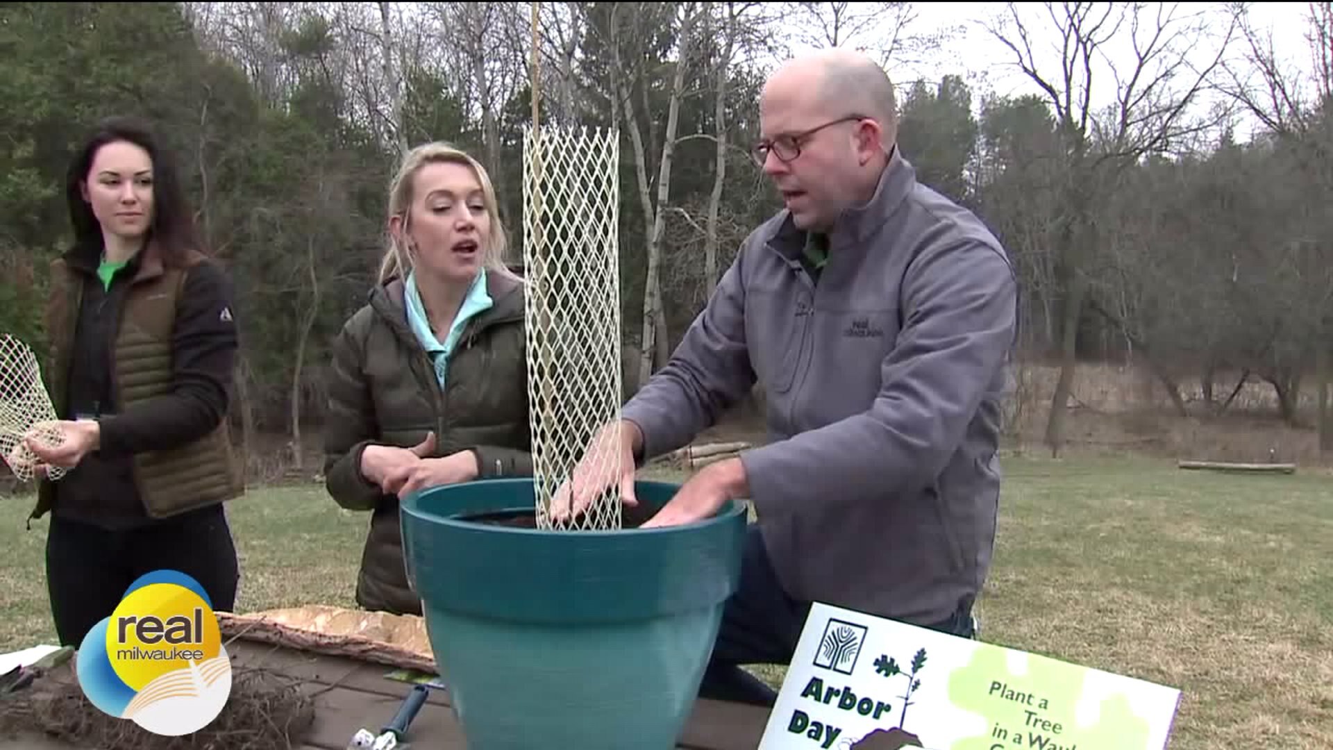 The importance of planting trees