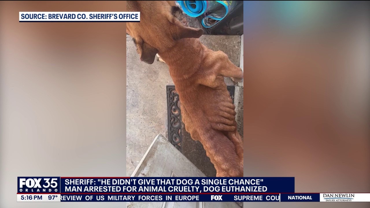Brevard County man accused of starving dog to death, sheriff says