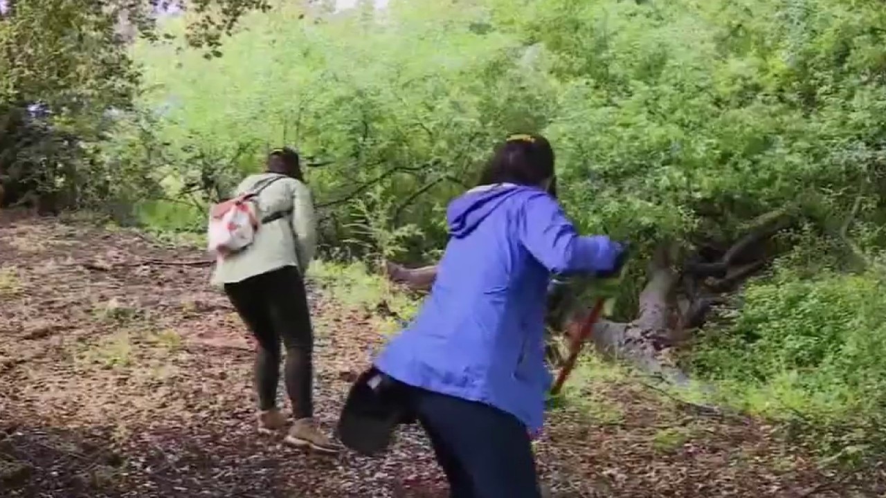 Creek near Oakland Zoo focus of Earth Day